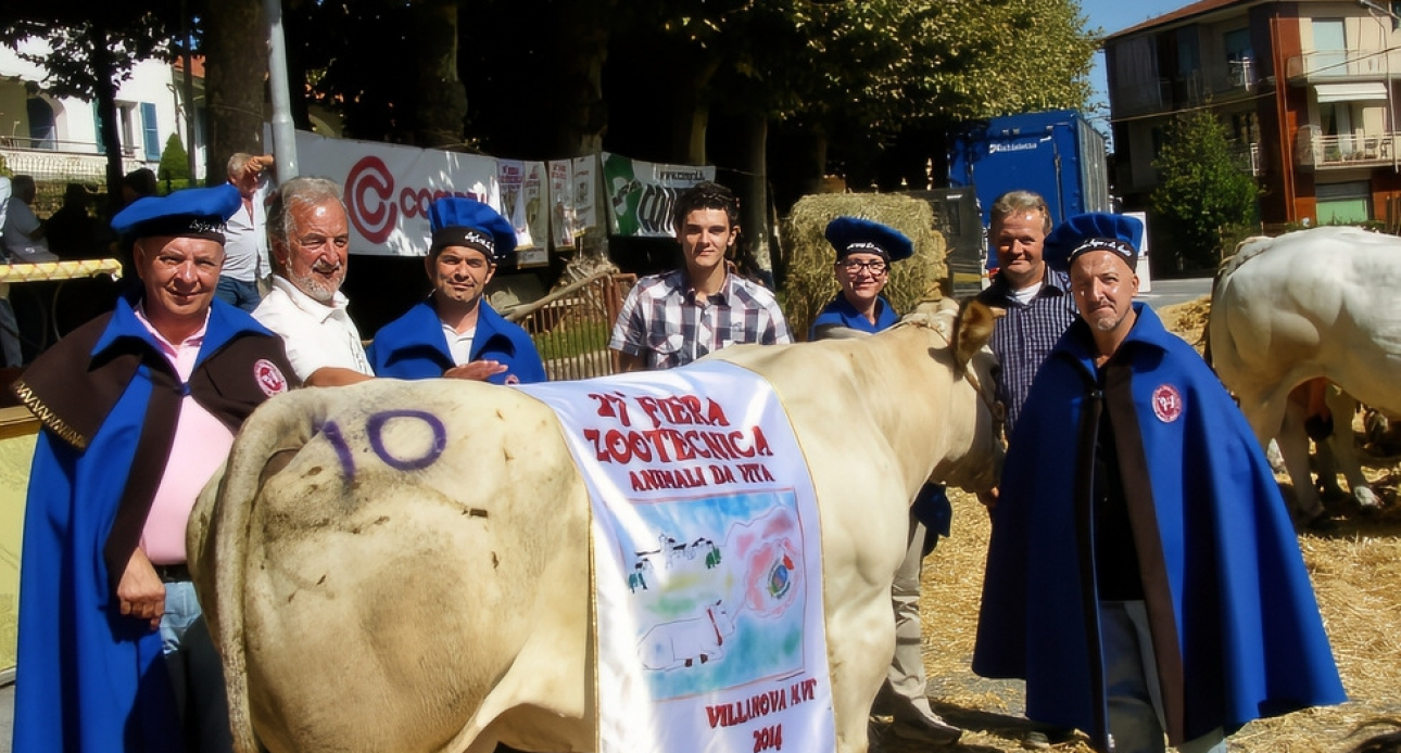 Laboratori del Gusto a Laigueglia: tradizioni, sapori e cultura del territorio